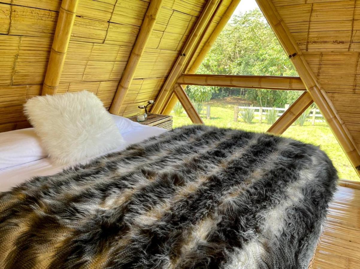 Glamping La Herradura Santa Rosa de Cabal Exterior photo