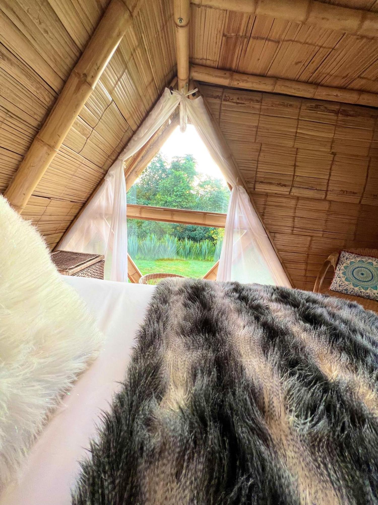 Glamping La Herradura Santa Rosa de Cabal Exterior photo